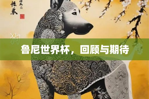 鲁尼世界杯，回顾与期待