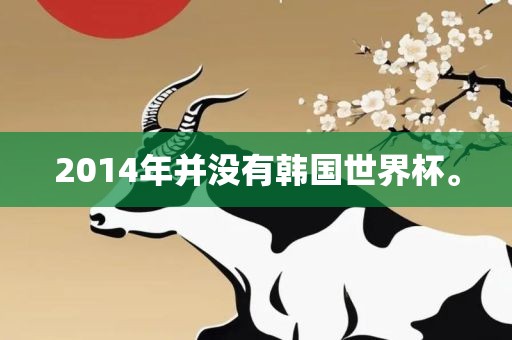 2014年并没有韩国世界杯。