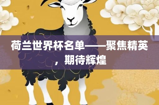 荷兰世界杯名单——聚焦精英，期待辉煌