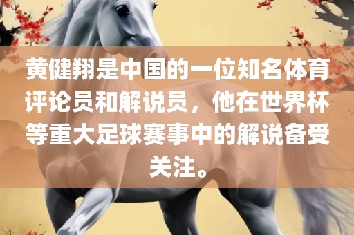 黄健翔是中国的一位知名体育评论员和解说员，他在世界杯等重大足球赛事中的解说备受关注。
