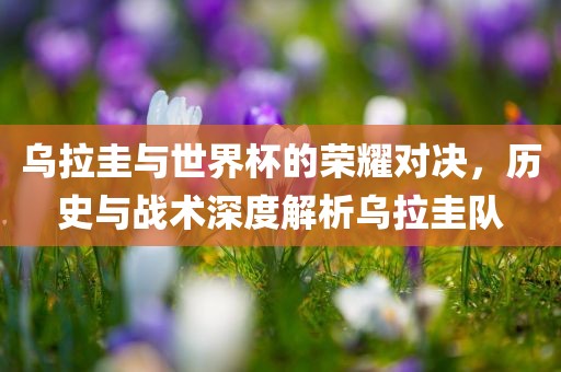 乌拉圭与世界杯的荣耀对决，历史与战术深度解析乌拉圭队