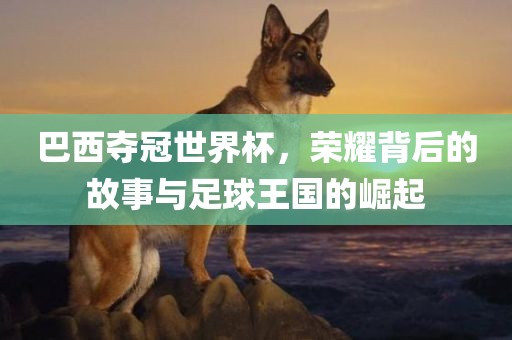 巴西夺冠世界杯，荣耀背后的故事与足球王国的崛起