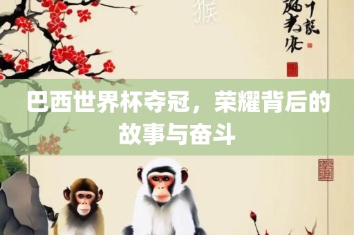 巴西世界杯夺冠，荣耀背后的故事与奋斗