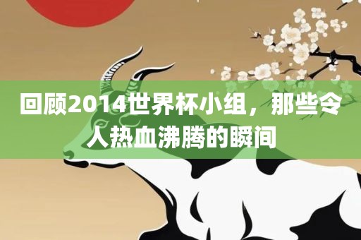 回顾2014世界杯小组，那些令人热血沸腾的瞬间