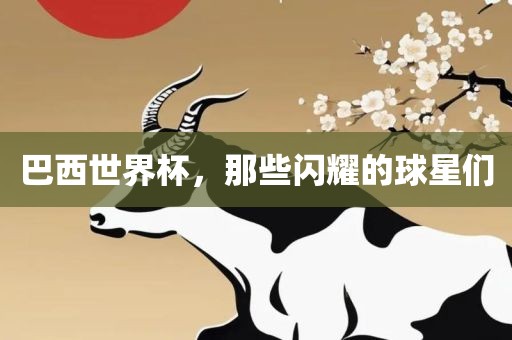 巴西世界杯，那些闪耀的球星们