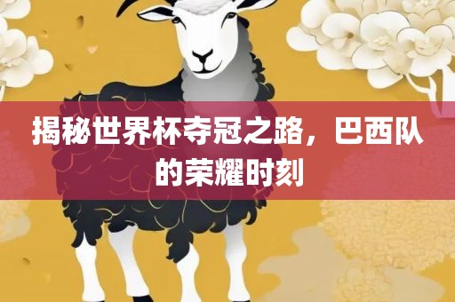 揭秘世界杯夺冠之路，巴西队的荣耀时刻