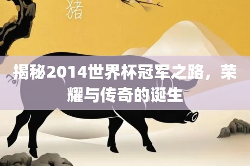 揭秘2014世界杯冠军之路，荣耀与传奇的诞生