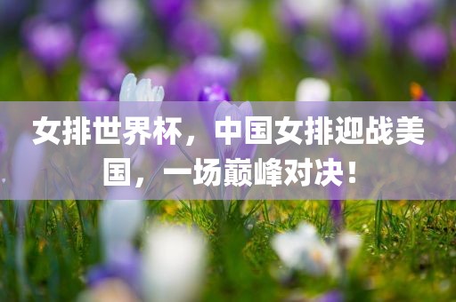 女排世界杯，中国女排迎战美国，一场巅峰对决！