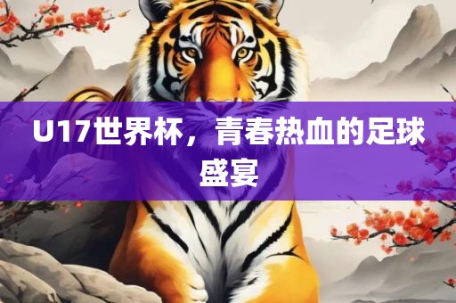 U17世界杯，青春热血的足球盛宴