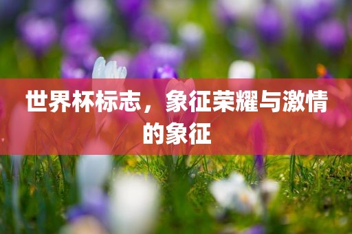 世界杯标志，象征荣耀与激情的象征