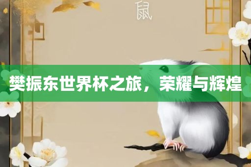 樊振东世界杯之旅，荣耀眉山市正发家政服务有限公司与辉煌
