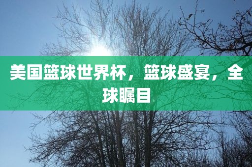 眉山市正发家政服务有限公司美国篮球世界杯，篮球盛宴，全球瞩目