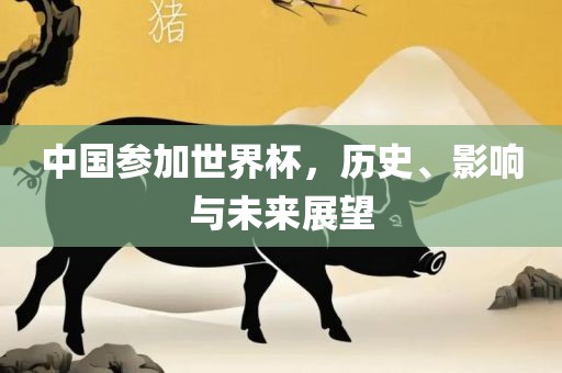 中国参加世界杯，历史、影响与未来展望