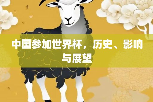 中国参加世界杯，历史、影响与展望