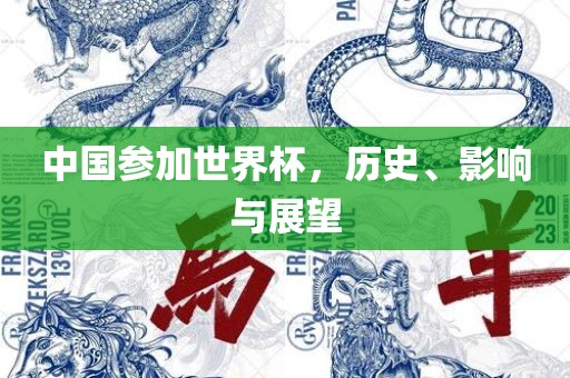 中国参加世界杯，历史、影响与展望