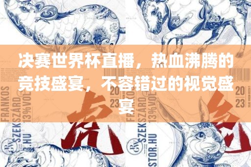 决赛世界杯直播，热血沸腾的竞技盛宴，不容错过的视觉盛宴