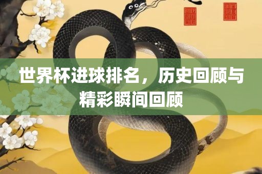 世界杯进球排名，历史回顾与精彩瞬间回顾