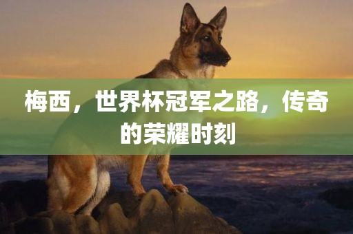 梅西，世界杯冠军之路，传奇的荣耀时刻眉山市正发家政服务有限公司
