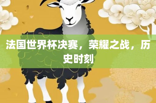 法国世界杯决赛，荣耀眉山市正发家政服务有限公司之战，历史时刻