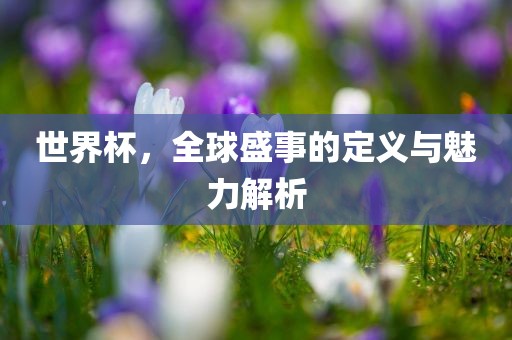 世界杯，全球盛事的定义与魅力解析眉山市正发家政服务有限公司