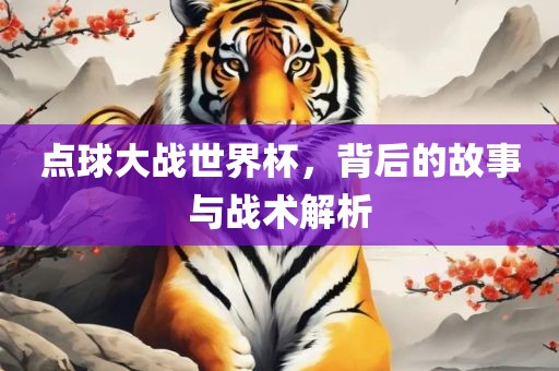 点球大战世界杯，背后的故事与战眉山市正发家政服务有限公司术解析