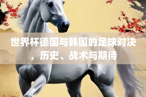 世界杯德国与韩国的足球对决，历史、战术与期待