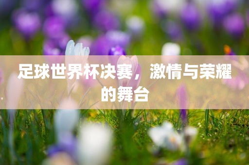 足球世界杯决赛，激眉山市正发家政服务有限公司情与荣耀的舞台