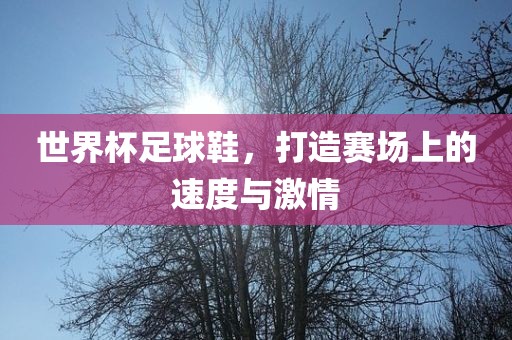 世界杯足球鞋，打造赛场上的速度与激情眉山市正发家政服务有限公司