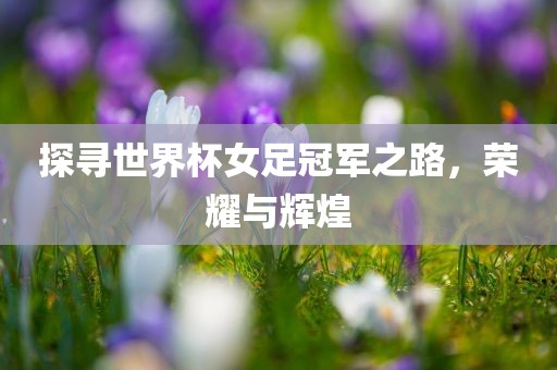 探寻世界杯女足冠军之路，荣耀与辉煌