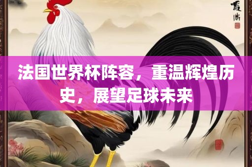 法国世界杯阵容，重温辉煌历史，展望足球未来眉山市正发家政服务有限公司