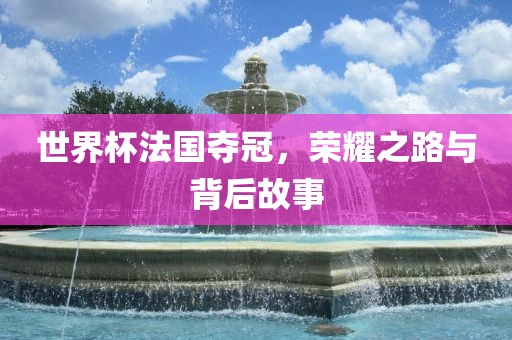 世界杯法国夺冠，荣耀之路与背后故眉山市正发家政服务有限公司事