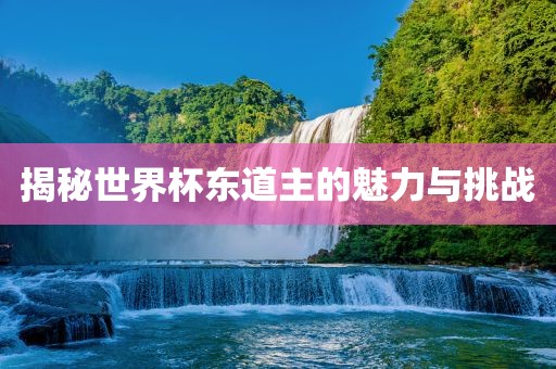 揭秘世界杯东道主的魅力与挑战