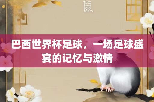 巴西世界杯足球，一场足球盛宴的记忆与激情