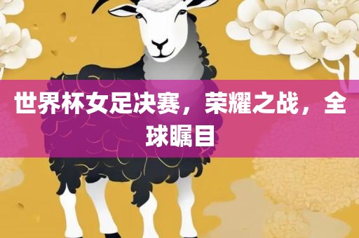 世界杯女足决赛，荣耀之战，全球瞩目眉山市正发家政服务有限公司