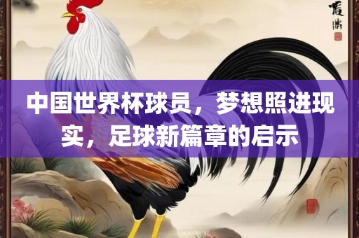 中国世界杯球员，梦想照进现实，足球新篇章的启示