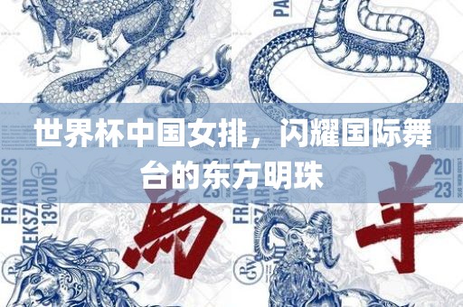 闪耀国际舞台的东方明珠（或可简化为“东方明珠女排”）