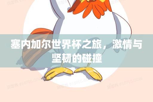 塞内加尔世界杯之旅，激情与坚韧的碰撞