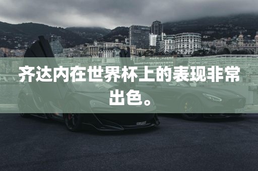 世界杯表现 第9页