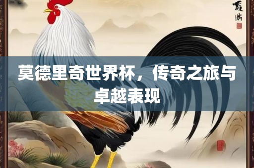莫德里奇世界杯，传奇之旅与卓越表现眉山市正发家政服务有限公司