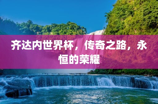 齐达内世界杯，传奇之路，眉山市正发家政服务有限公司永恒的荣耀