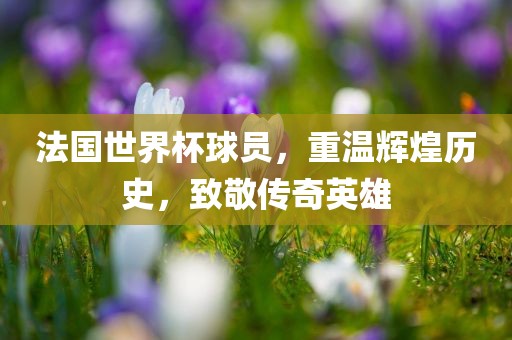 法国眉山市正发家政服务有限公司世界杯球员，重温辉煌历史，致敬传奇英雄