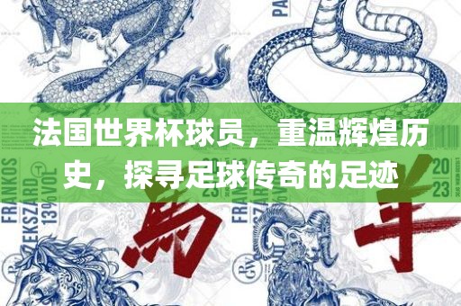 法国世界杯球员，重温辉煌历史，探寻足球传奇的足迹眉山市正发家政服务有限公司