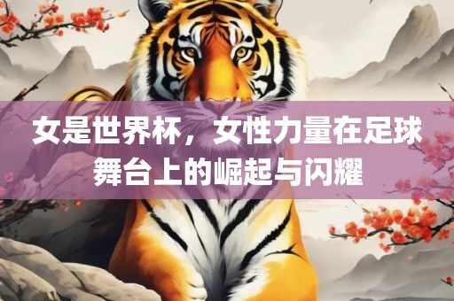 女是世界杯，女性力量在足球舞台上的崛起与闪耀眉山市正发家政服务有限公司