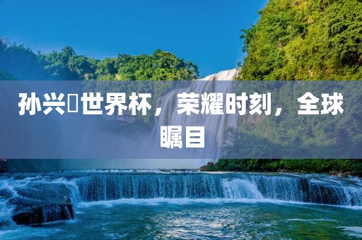 孙兴慜世界杯，荣耀时刻，全球瞩目眉山市正发家政服务有限公司