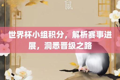 世界杯小组积分，解析赛事进展，洞悉晋级之路眉山市正发家政服务有限公司