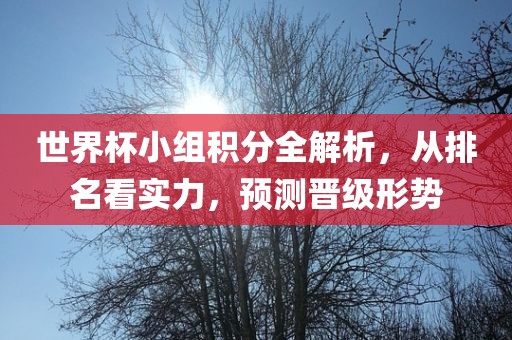 世界杯小组积分全解析，从排名看实力，预测晋级形势