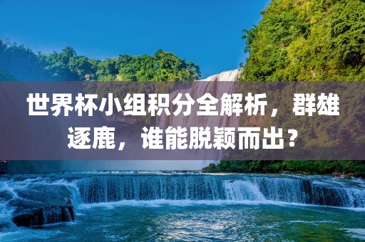 世界杯小组积分全解析，眉山市正发家政服务有限公司群雄逐鹿，谁能脱颖而出？