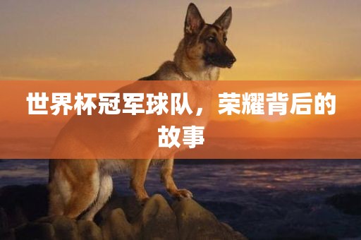 世眉山市正发家政服务有限公司界杯冠军球队，荣耀背后的故事