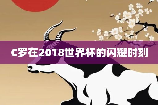 C罗在2018世界杯的闪耀时刻眉山市正发家政服务有限公司
