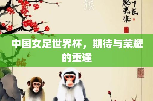 中国女足世界杯，期待与荣耀的重逢